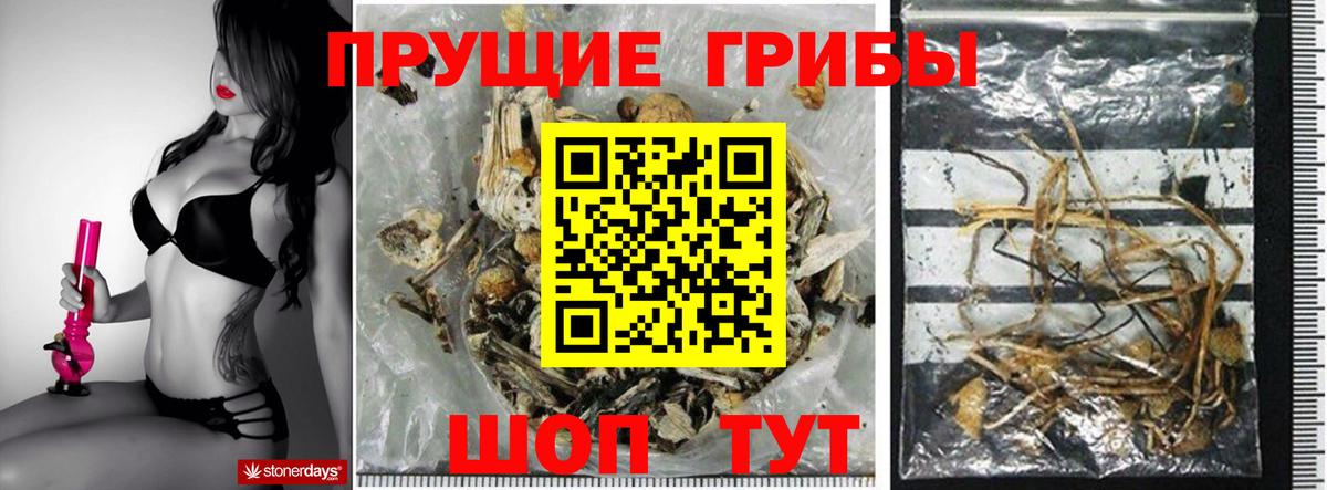 Белгород  Галлюциногенные грибы Psilocybe  Псилоцибиновые грибы MAGIC MUSHROOMS  Вход с VPN 